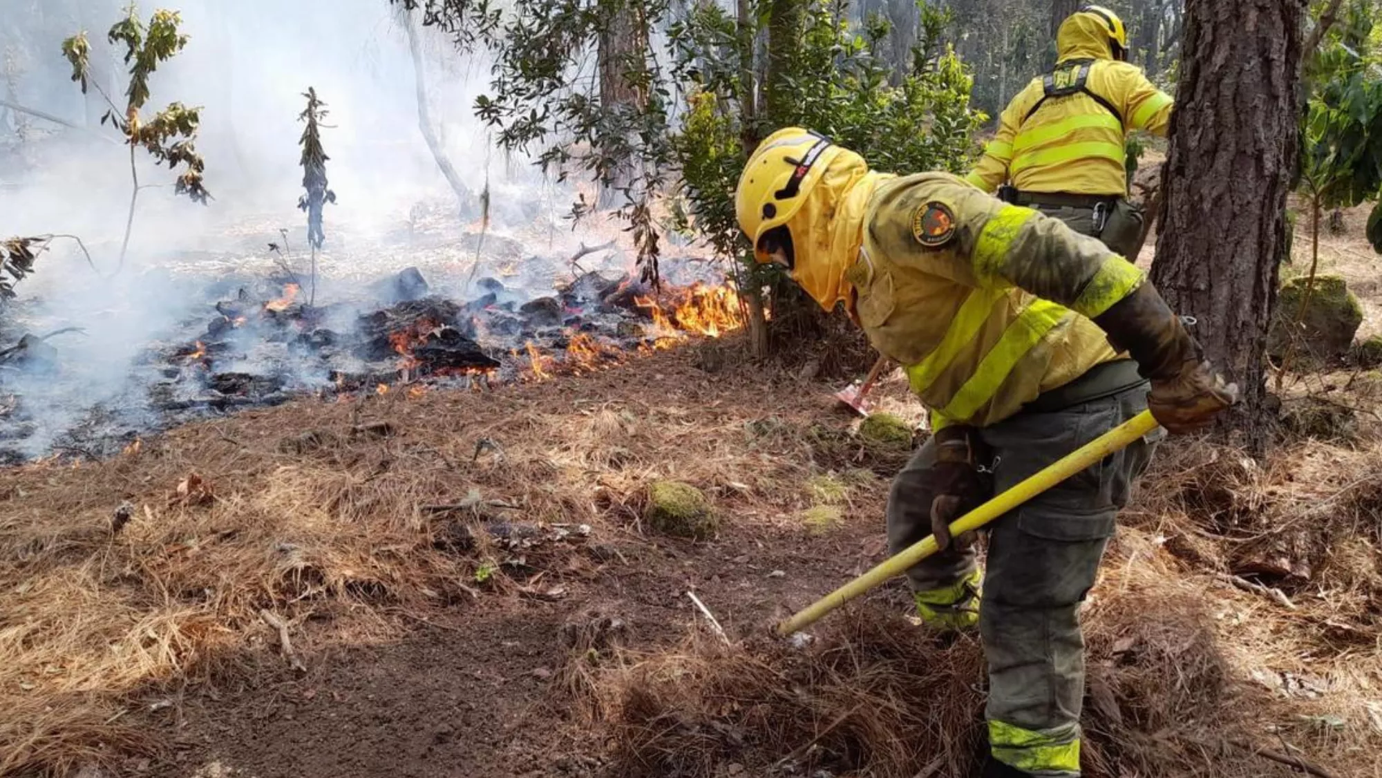 Bomberos actúan contra el fuego / CABILDO DE TENERIFE