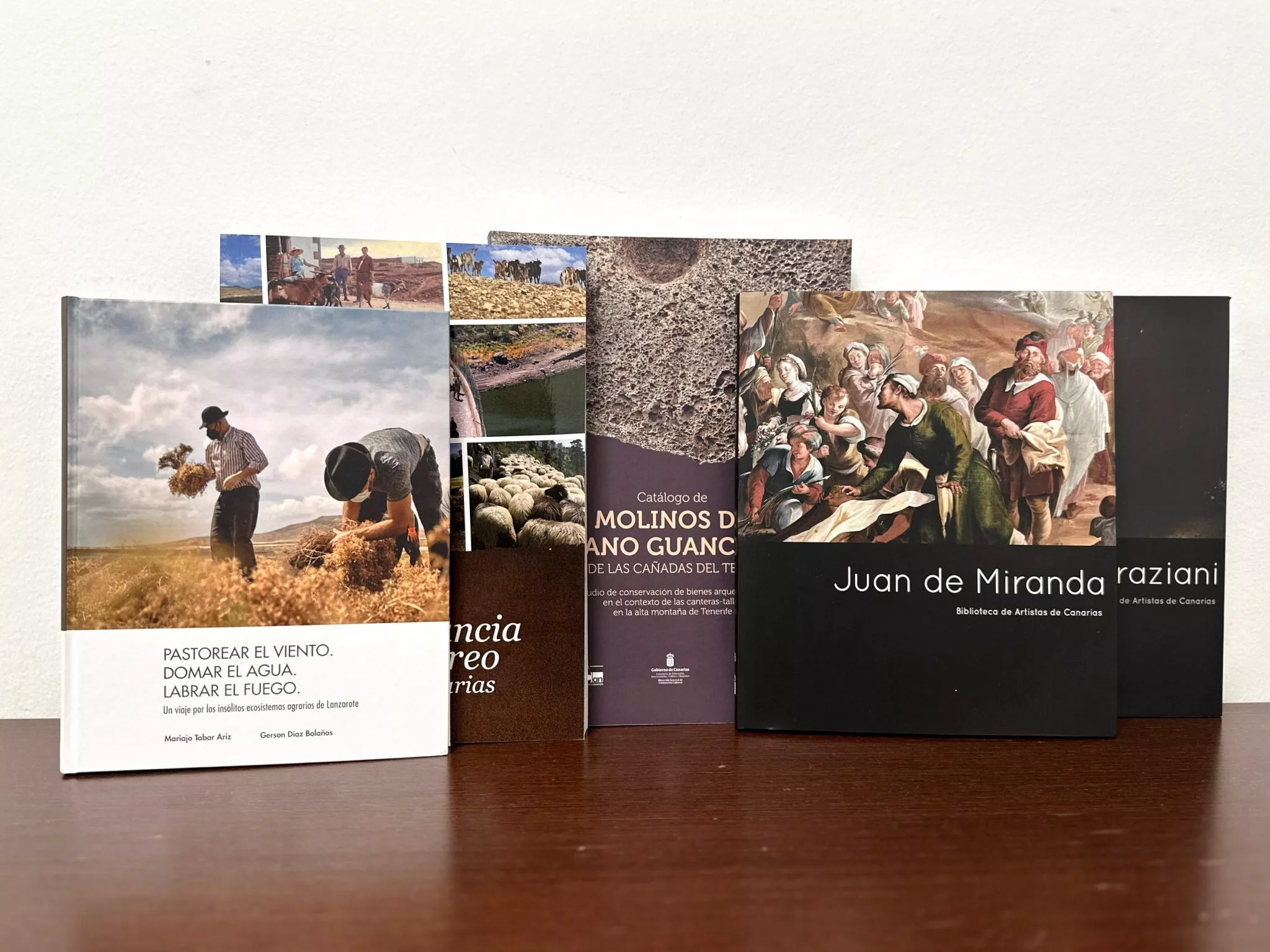 Libros publicados por el área de Cultura del Gobierno de Canarias. / GOBIERNO DE CANARIAS