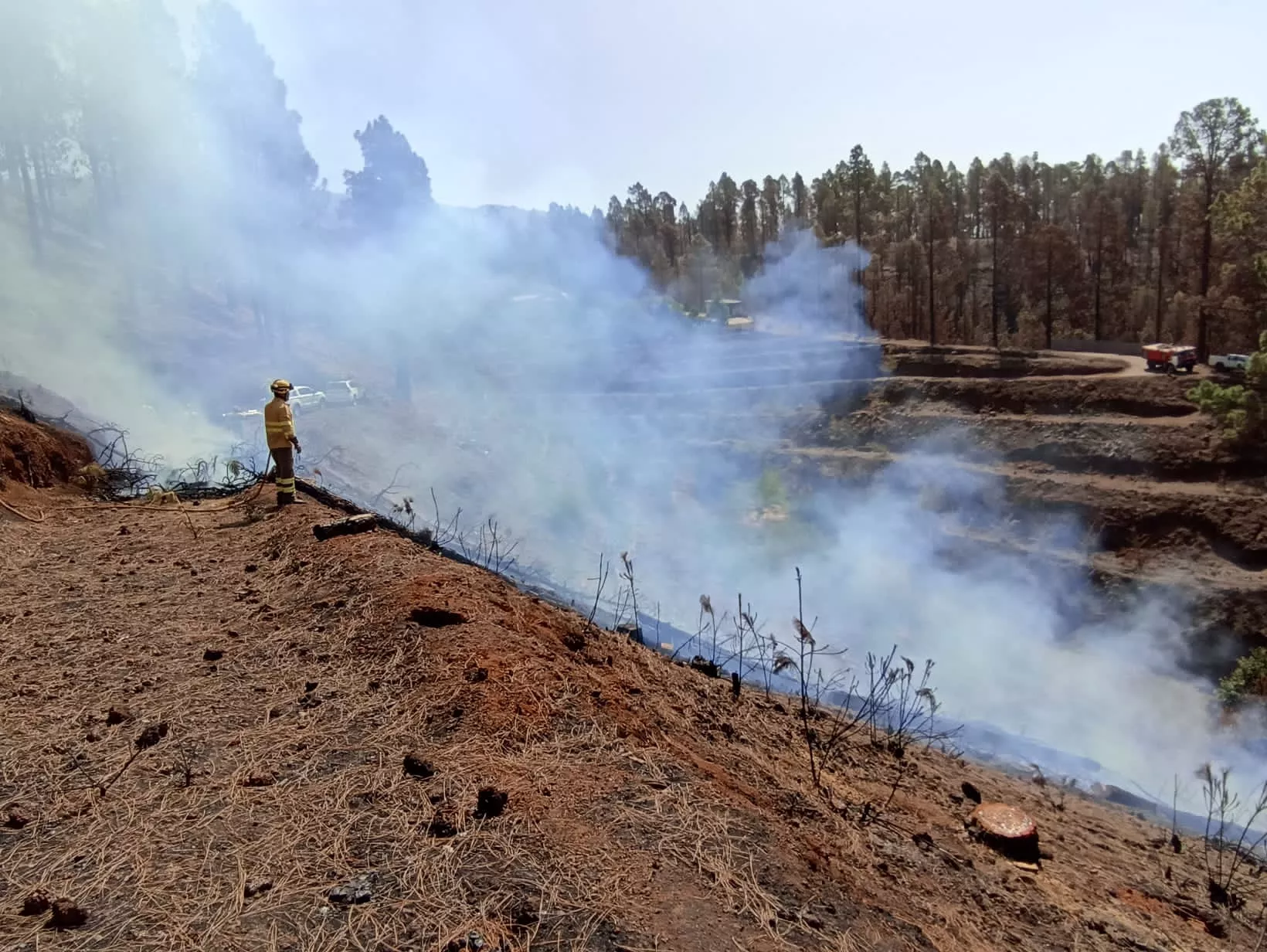 Conato de incendio declarado en La Palma. / CABILDO DE LA PALMA