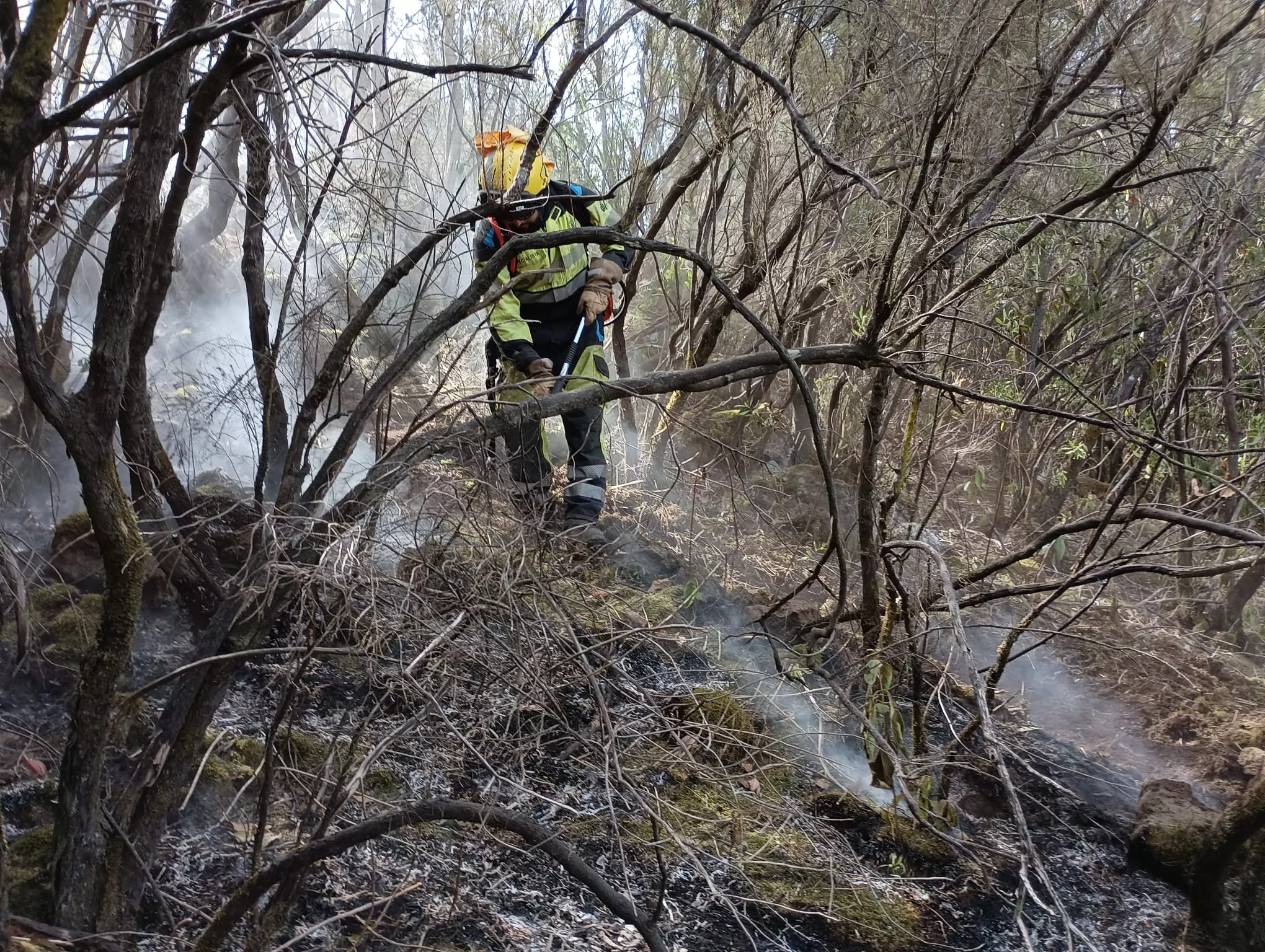 Efectivos de la EIRIF del Gobierno de Canarias durante una intervención del incendio. / GOBIERNO DE CANARIAS