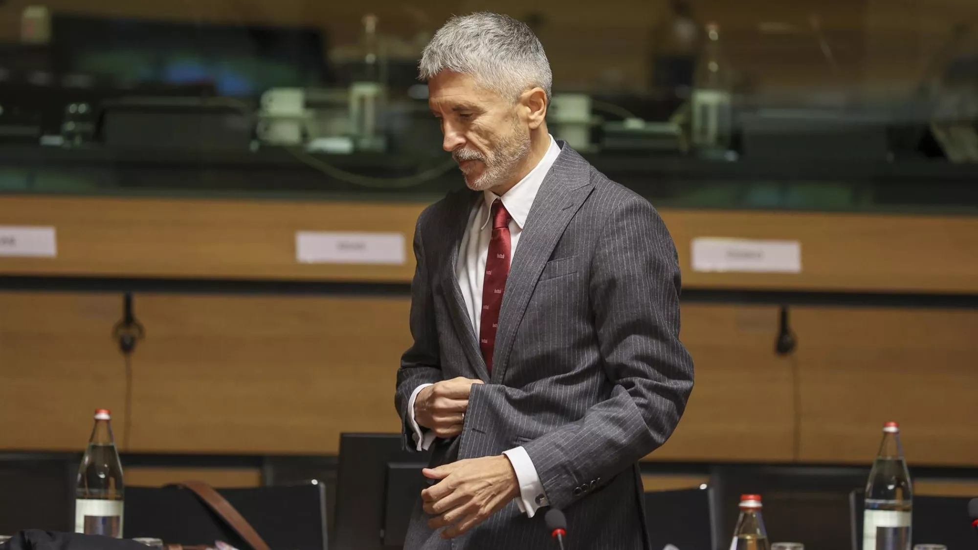 Fernando Grande Marlaska / EFE