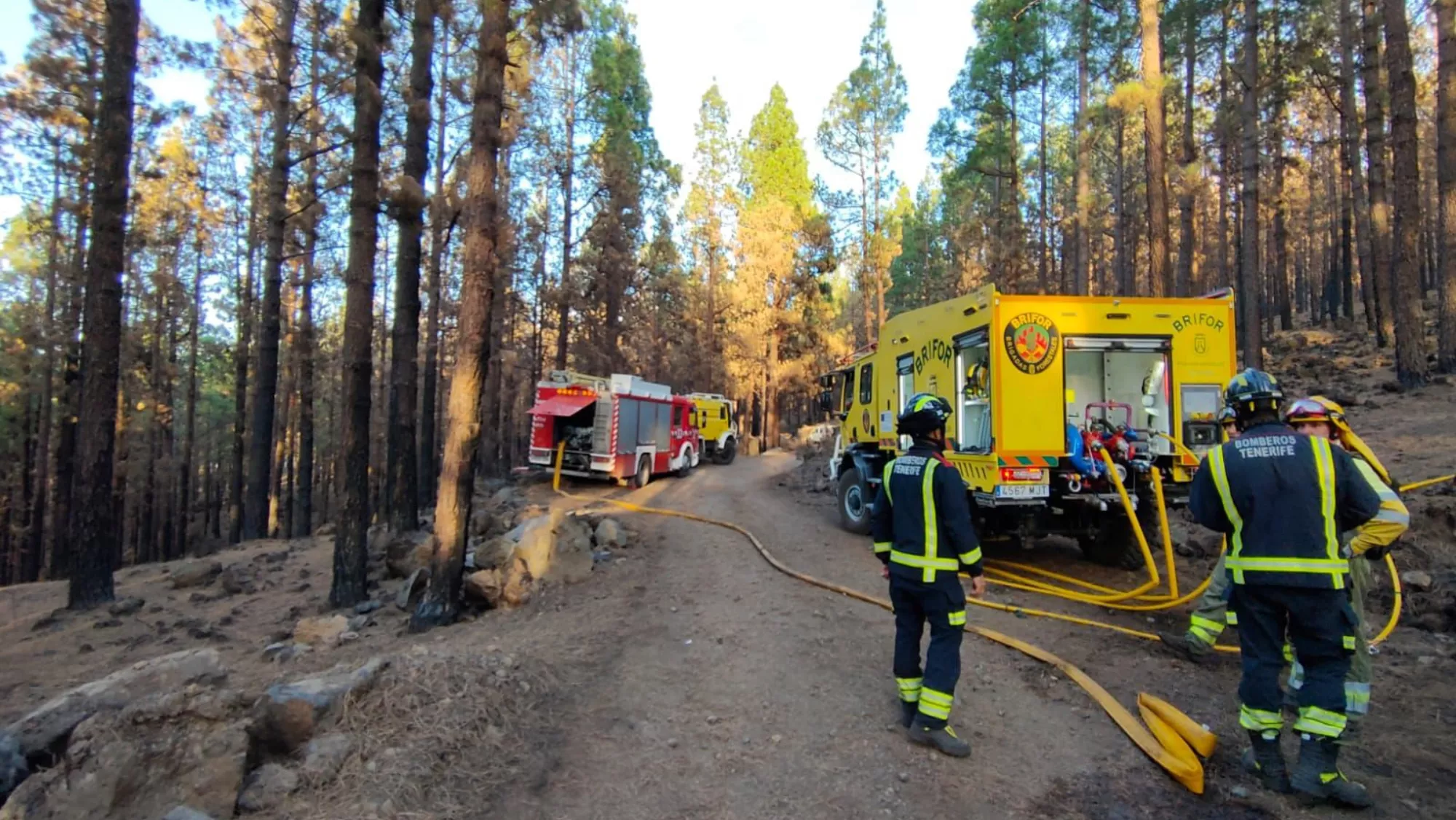 Efectivos trabajan en el incendio de Tenerife / AH Efectivos trabajan en el incendio de Tenerife / AH