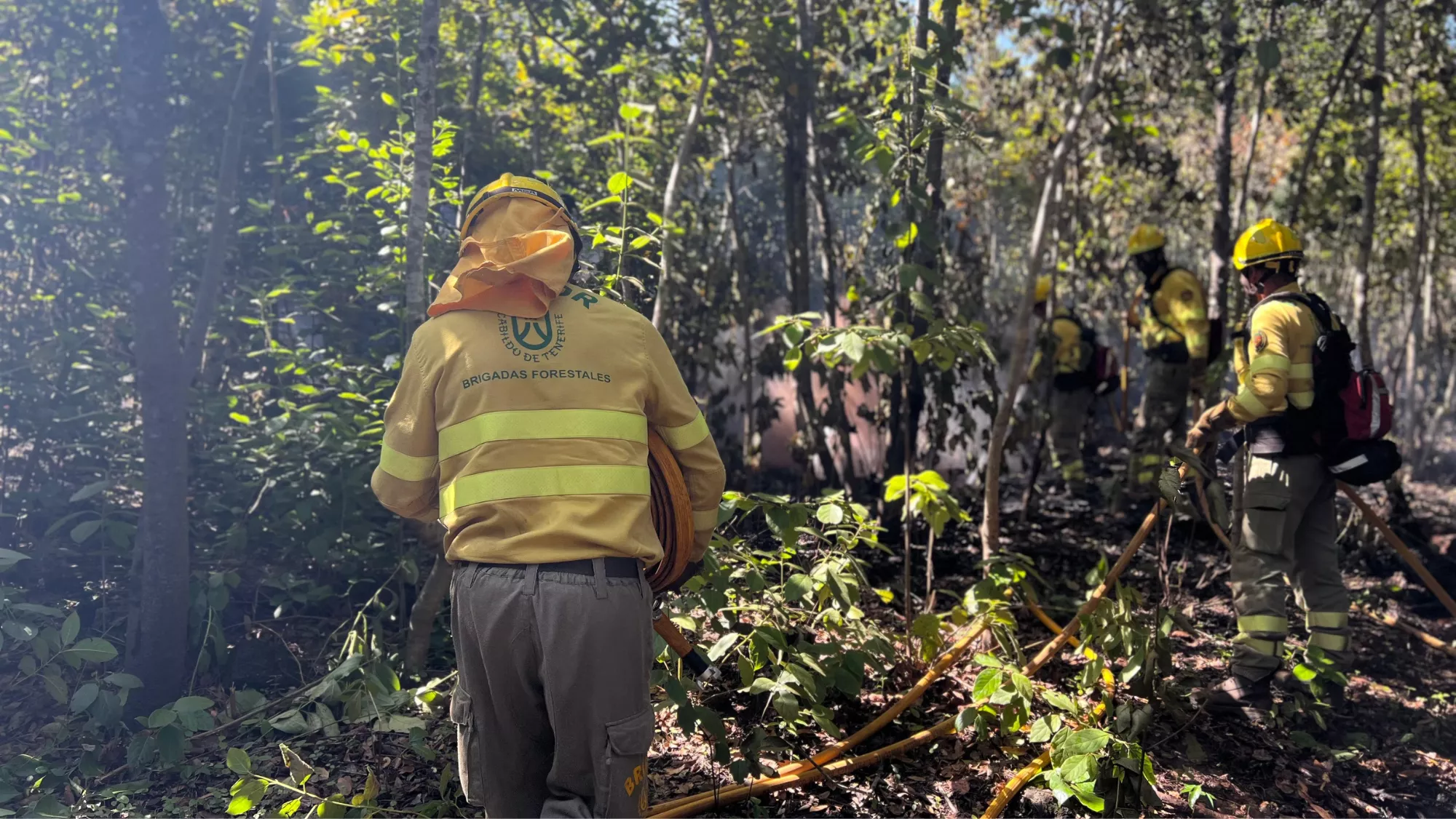 Efectivos trabajan en el incendio de Tenerife / AH