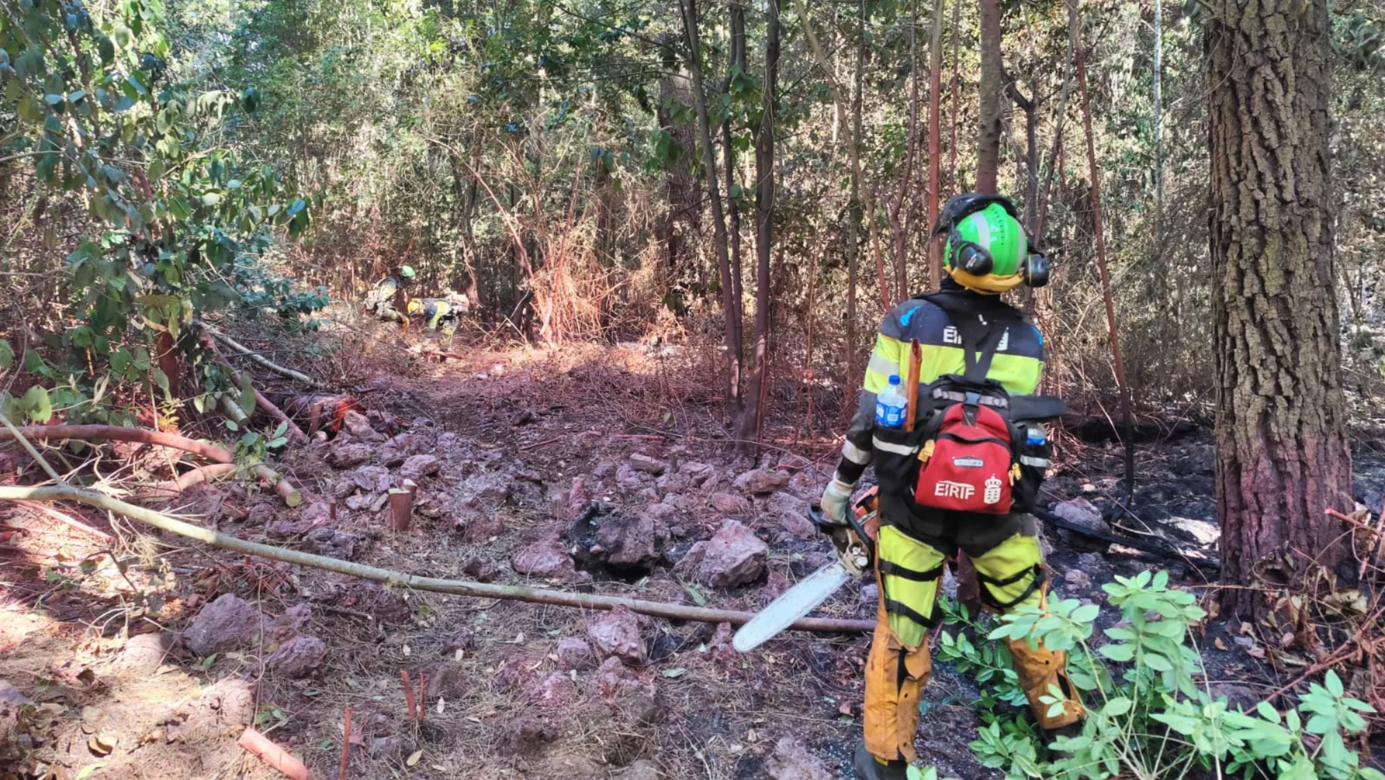 Efectivos trabajan en el incendio de Tenerife / CABILDO DE TENERIFE