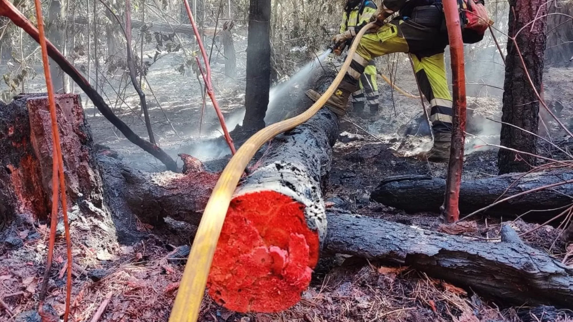 Efectivos trabajan en el incendio de Tenerife / 112 CANARIAS(Archivo)