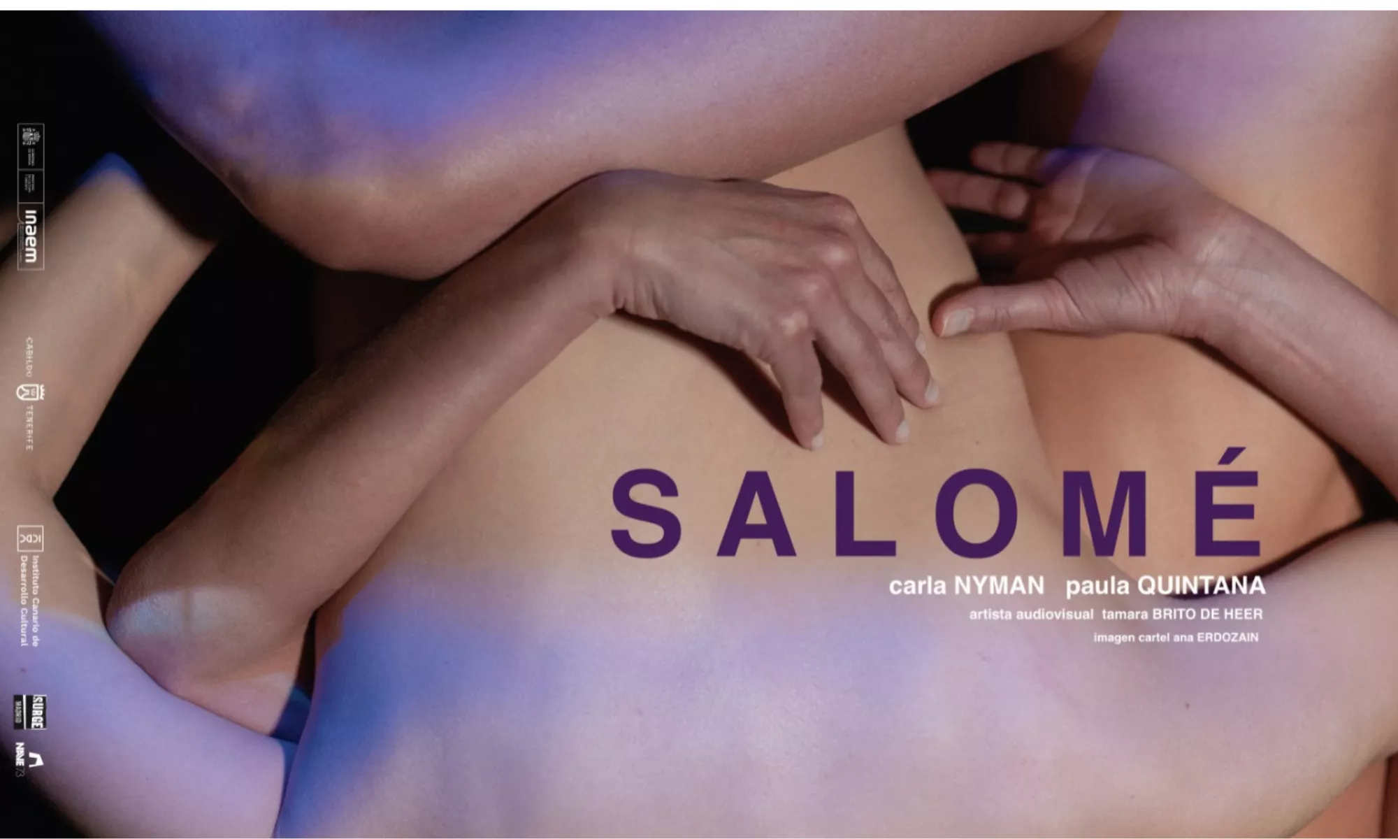 Cartel de Salomé, obra de Paula Quintana y Carla Nyman. / CEDIDA