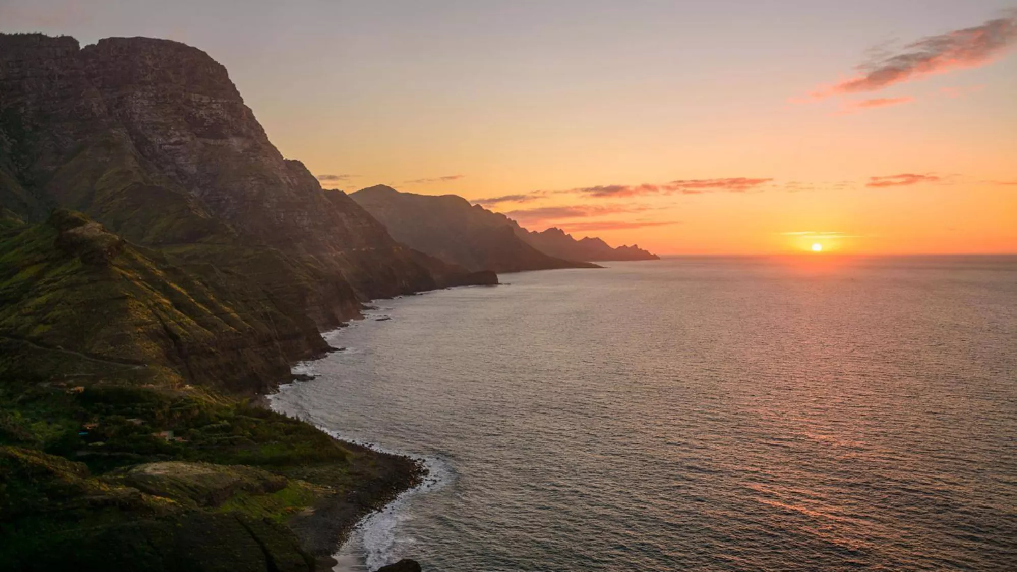Imagen de la cola de dragón de Gran Canaria / HOLA ISLAS CANARIAS