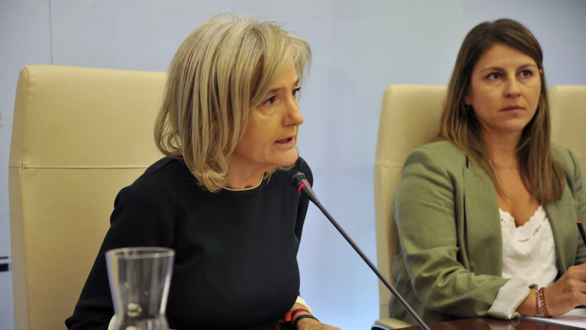 La portavoz del Gobierno de Extremadura, Victoria Bazaga / EFE