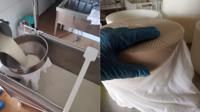 Elaboración de quesos / QUESERÍA LA CALDERA