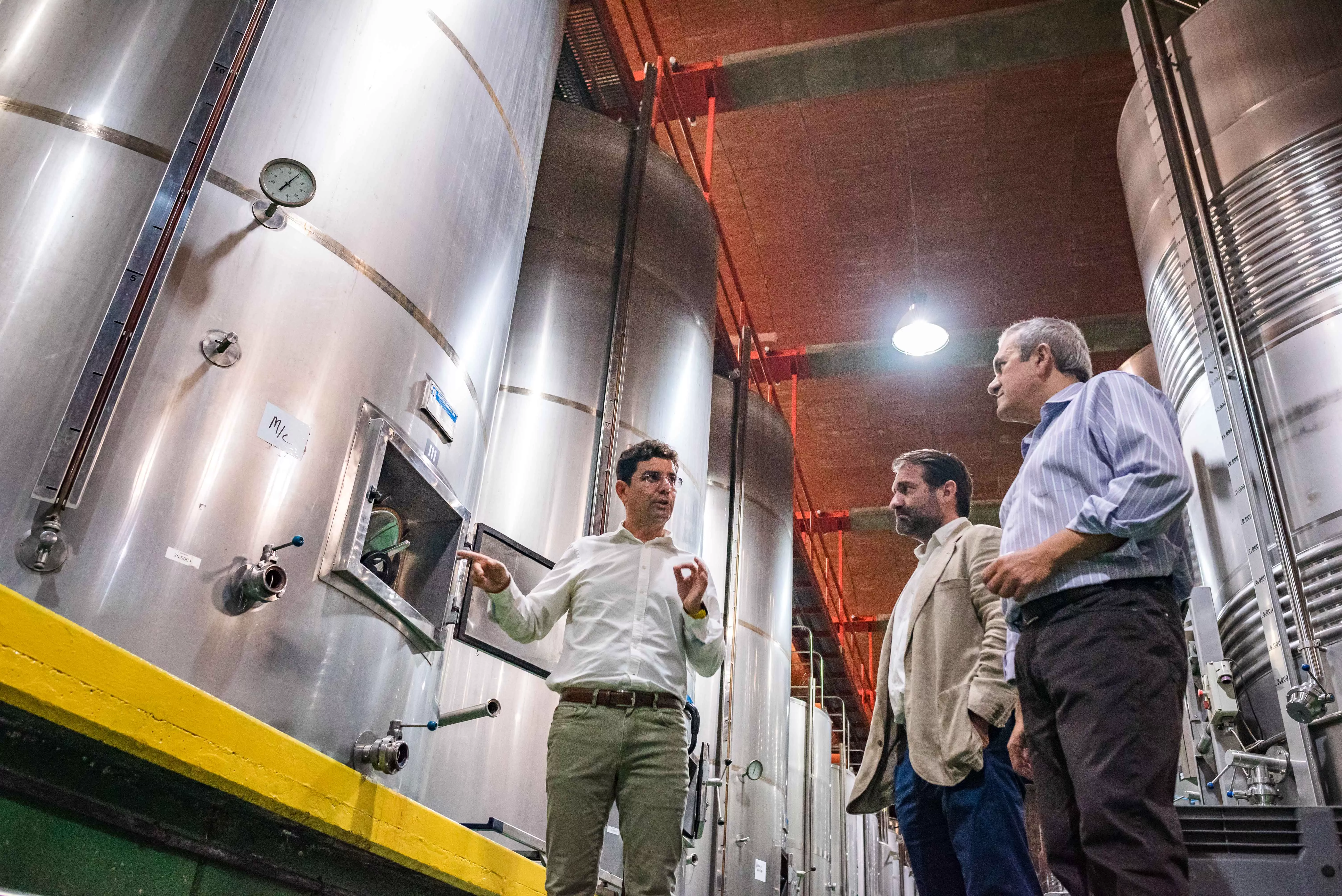 Visita de los consejeros del Cabildo de Tenerife Valentín González y Manuel Fernández a Bodegas Insulares./ CEDIDA