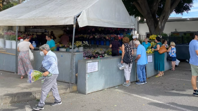 Puesto de Flores Fergar / ATLÁNTICO HOY - ARIADNA MARTÍNEZ