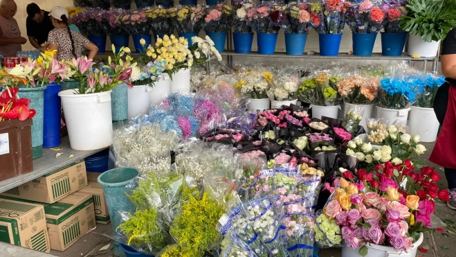 Flores de Flores de Fergar / ATLÁNTICO HOY- ARIADNA MARTÍNEZ