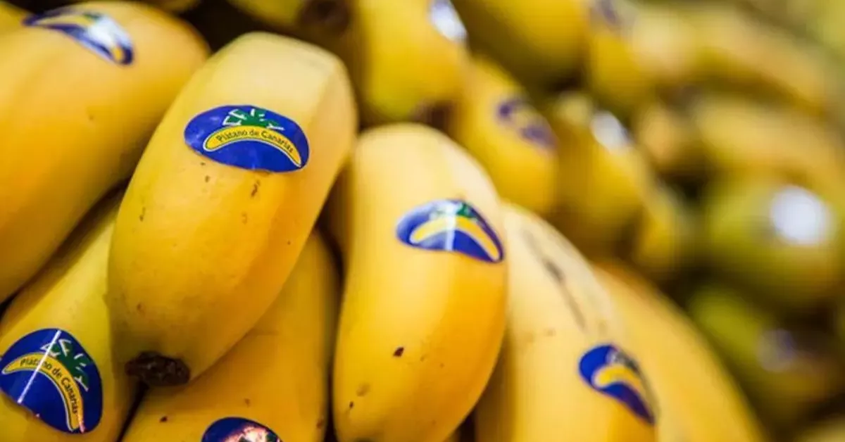 Plátano de Canarias. / AH