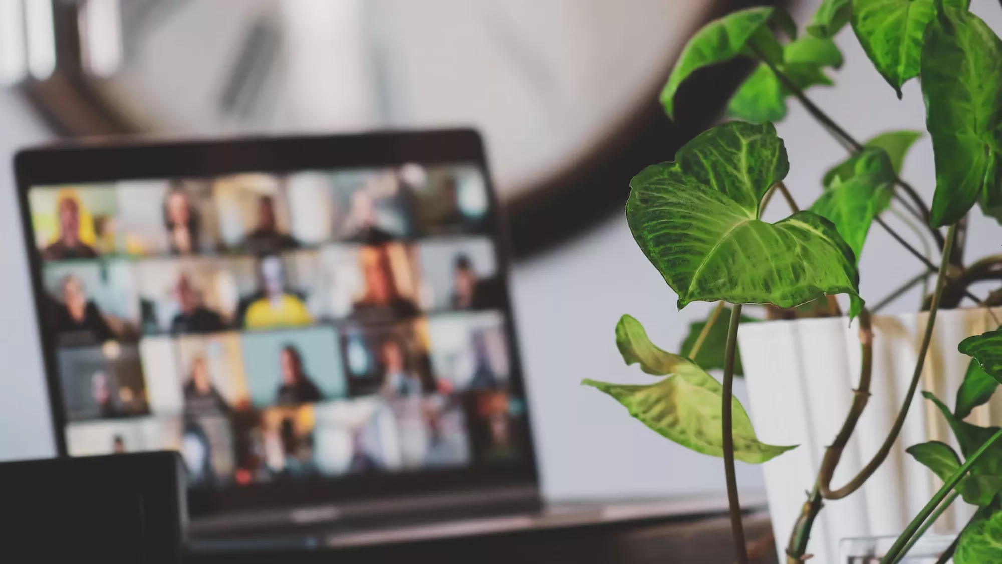 Clases online. / UNSPLASH