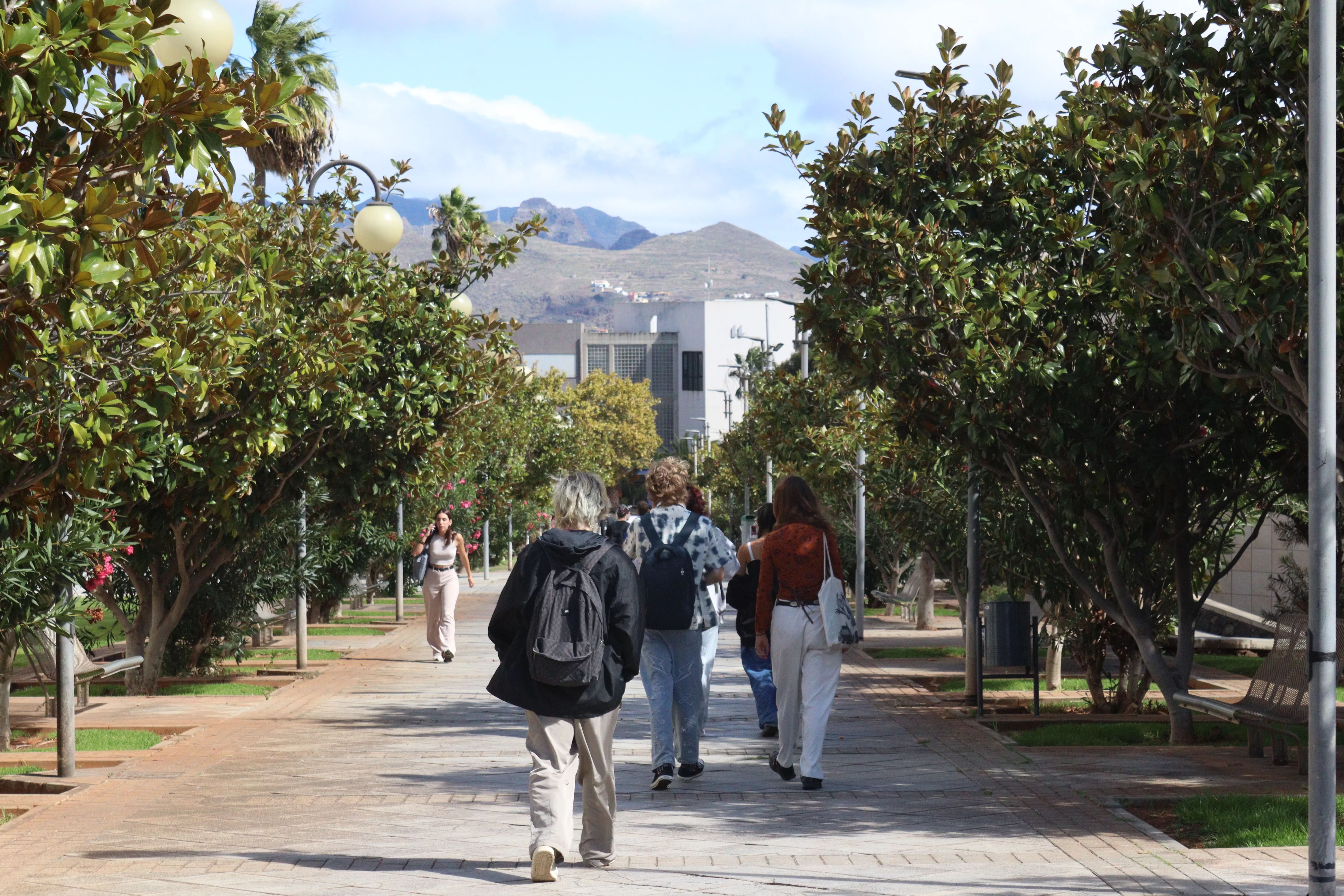 Grupo estudiantil en el campus de Guajara en la Universidad de La Laguna (ULL). / ATLÁNTICO HOY