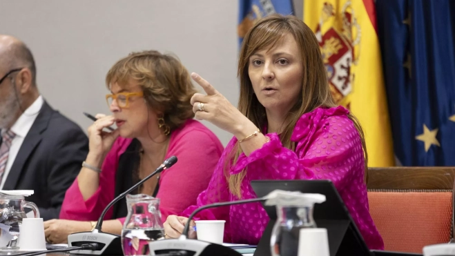 Nieves Lady Barreto, durante una comisión parlamentaria. / MIGUEL BARRETO-EFE