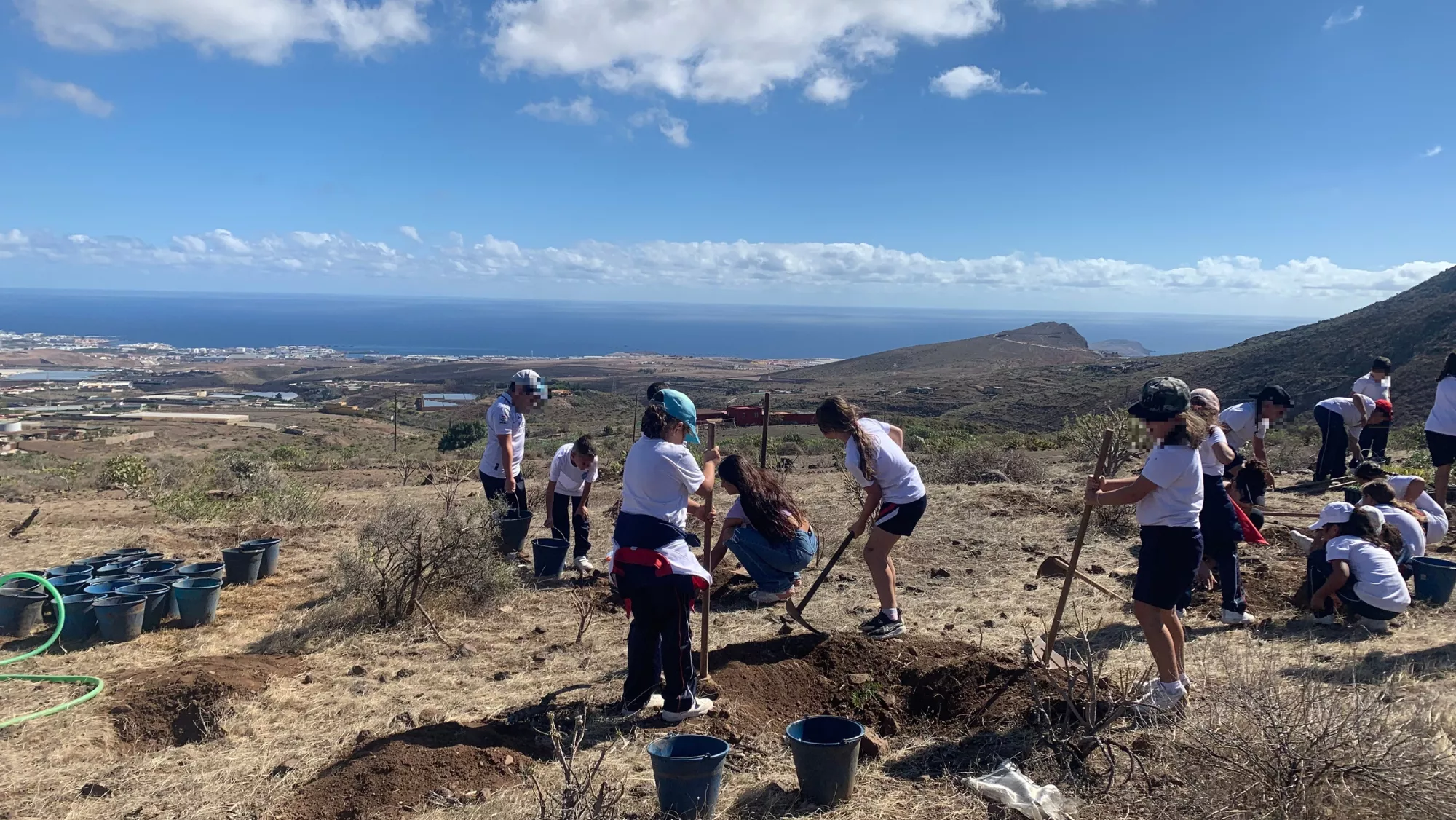Jornada de plantación de Fundación Foresta / FORESTA