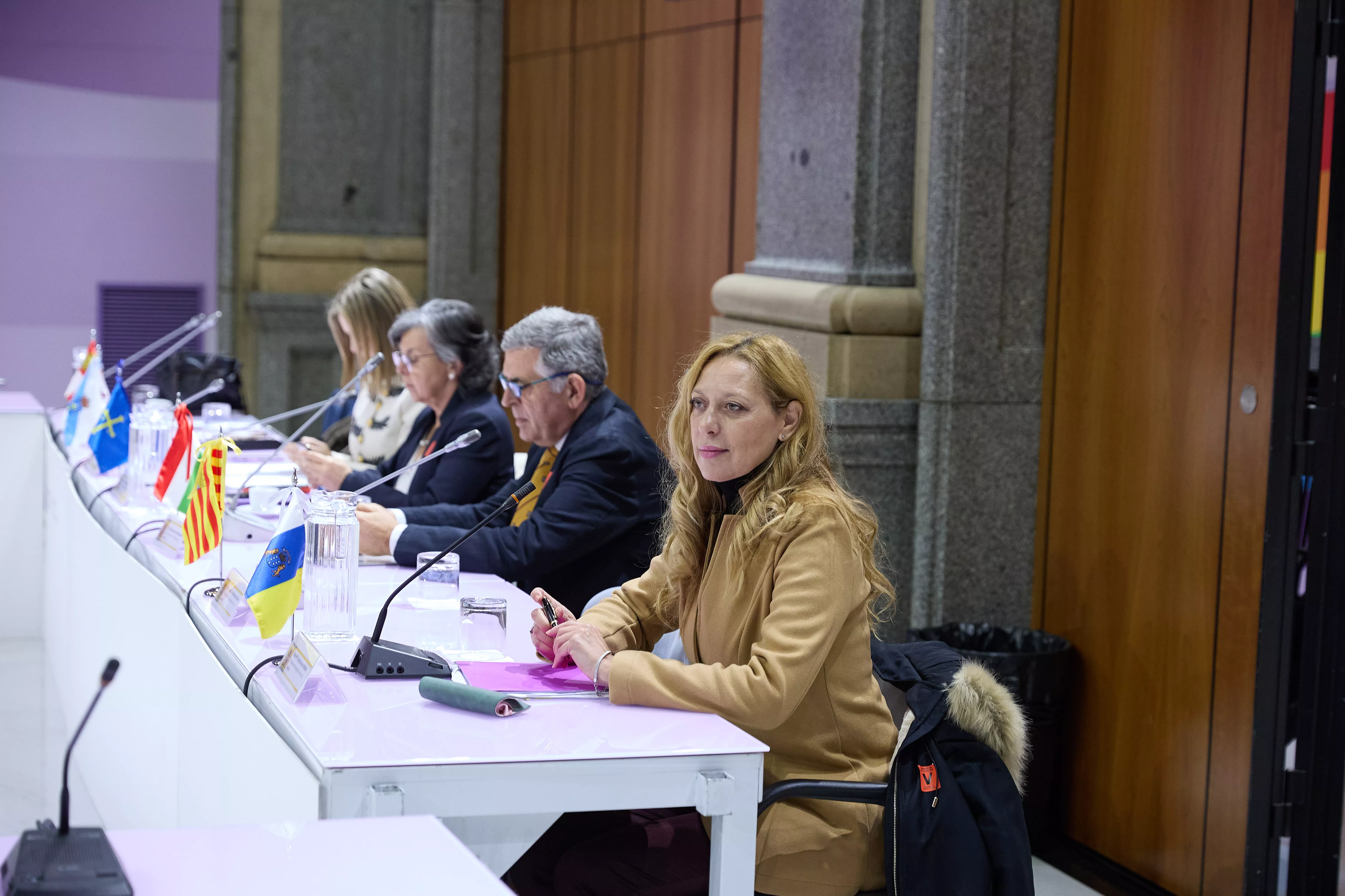 La viceconsejera del área, Cristina Arceo. / GOBIERNO DE CANARIAS 