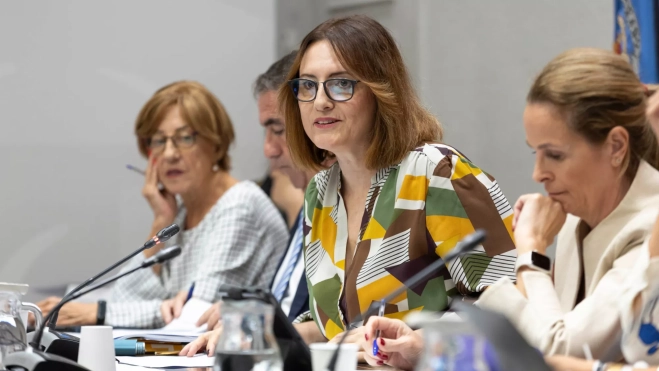 Candelaria Delgado, consejera de Bienestar Social, exponiendo los presupuestos del área para 2024 / EFE - MIGUEL BARRETO Candelaria Delgado, consejera de Bienestar Social, exponiendo los presupuestos del área para 2024 / EFE - MIGUEL BARRETO