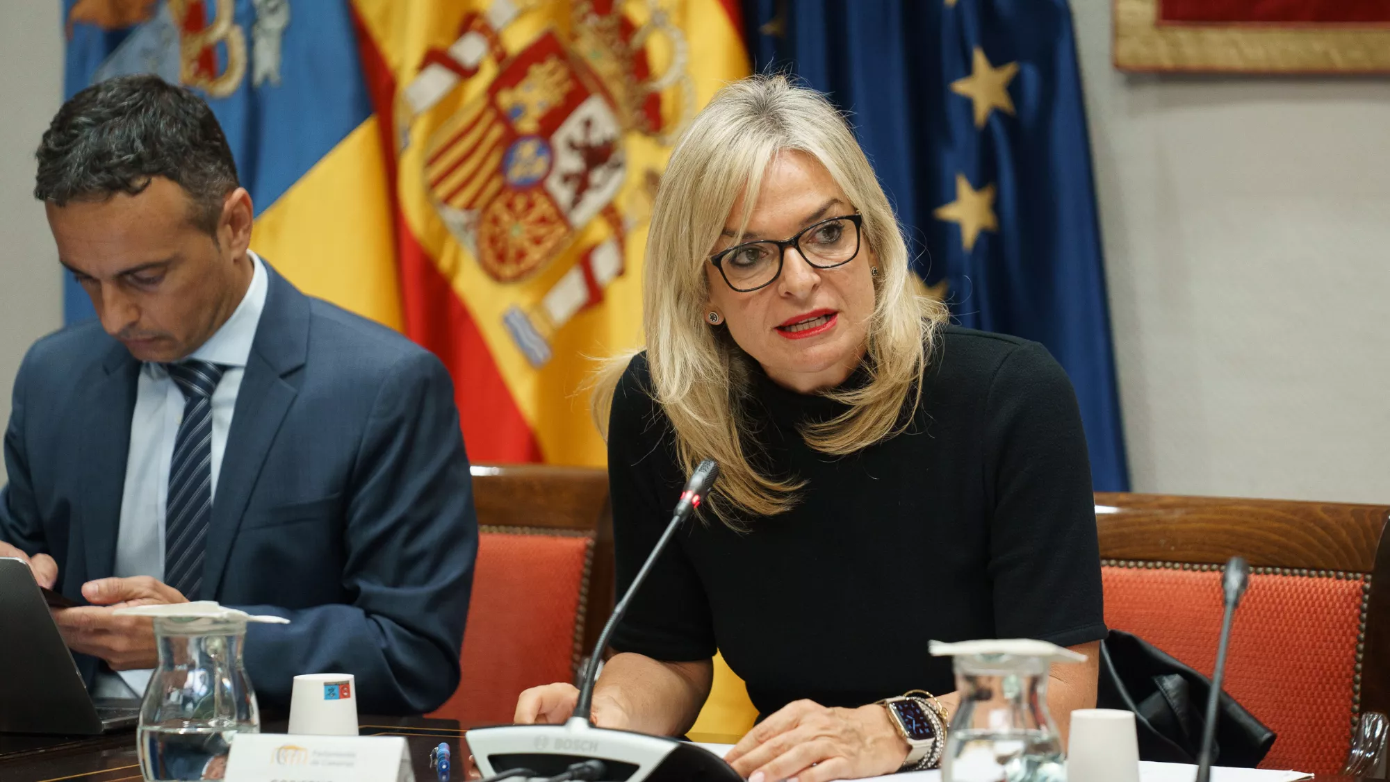 La consejera de Sanidad destaca que es la primera vez que se tiene en cuenta el gasto real del Servicio Canario de Salud / EFE - RAMÓN DE LA ROCHA