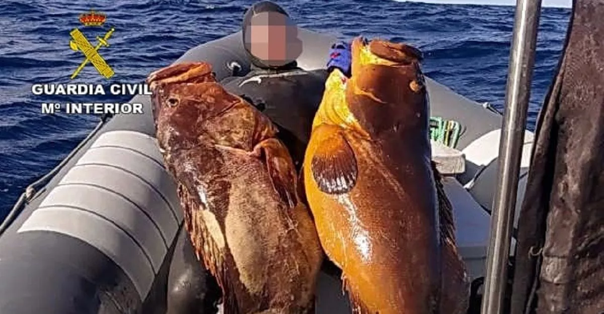 Imagen de pesca furtiva. / ARCHIVO GUARDIA CIVIL