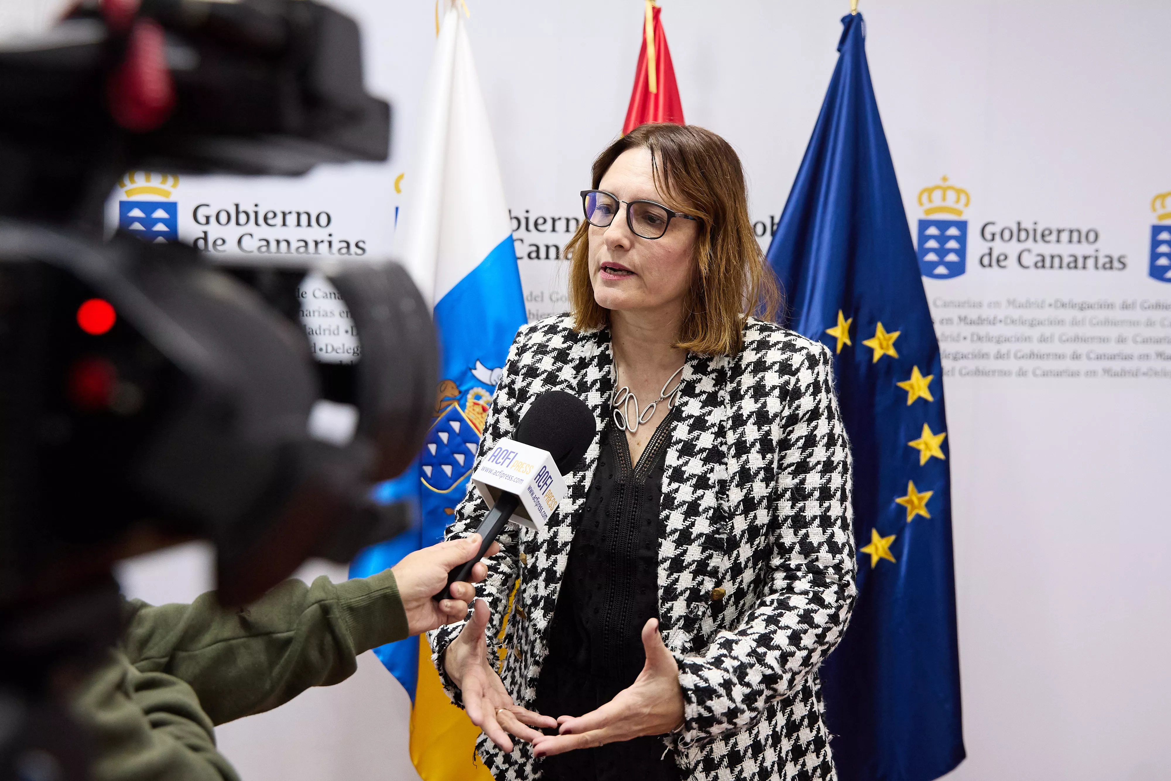 Candelaria Delgado, consejera de Bienestar Social. / GOBIERNO DE CANARIAS