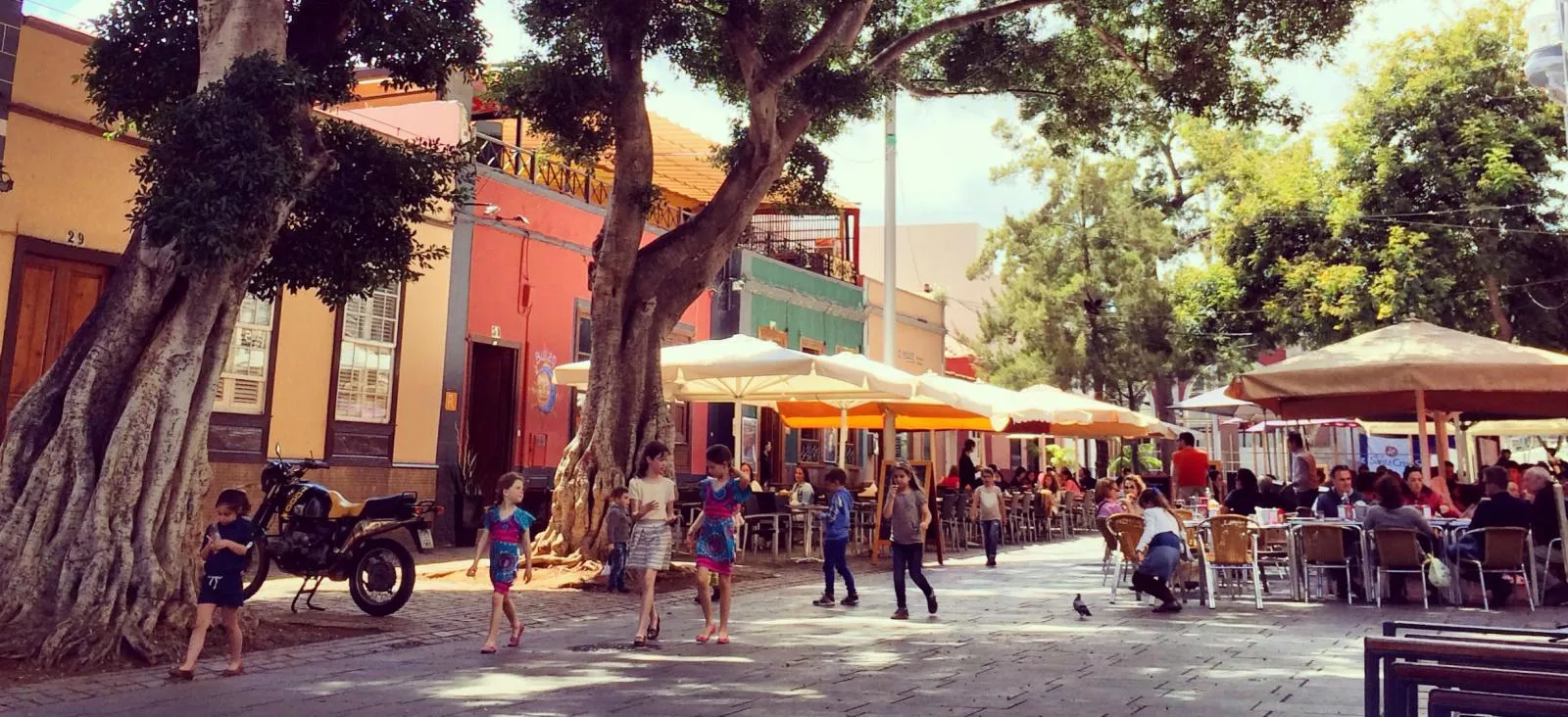 Calle de La Noria, en Santa Cruz de Tenerife. / TURISMO ISLAS CANARIAS.