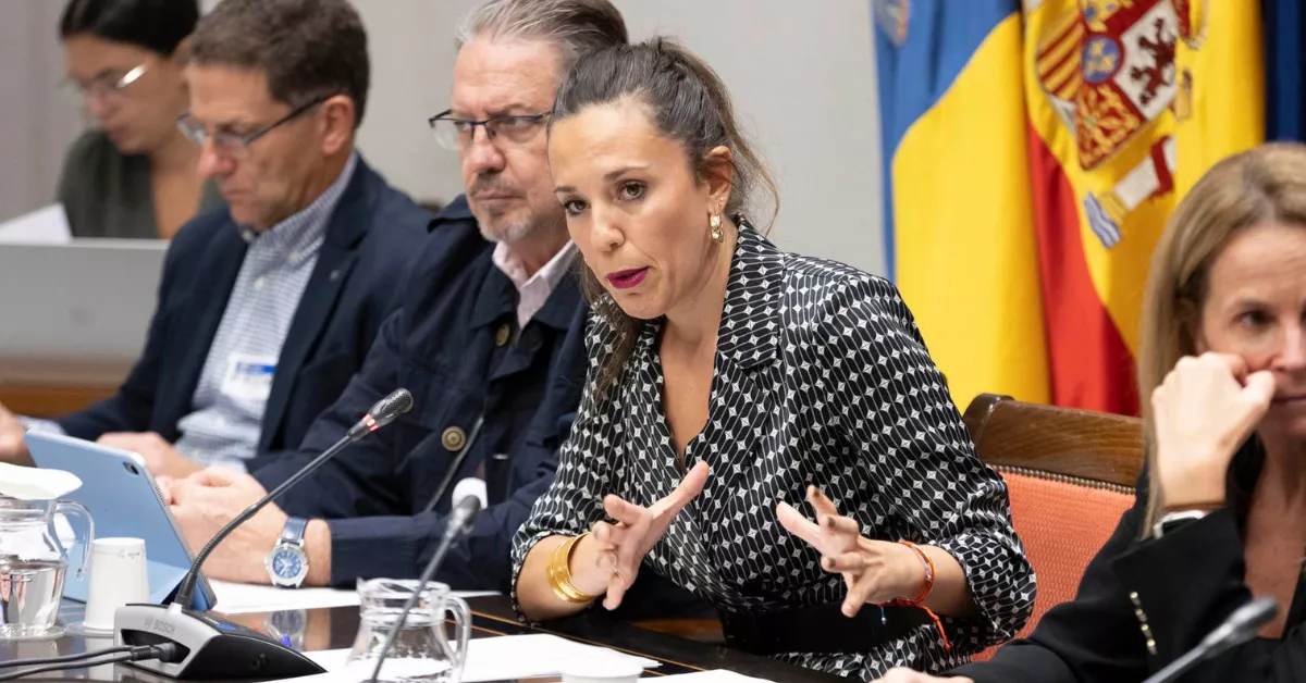 Jéssica de León, consejera de Turismo y Empleo / EFE Jéssica de León, consejera de Turismo y Empleo / EFE