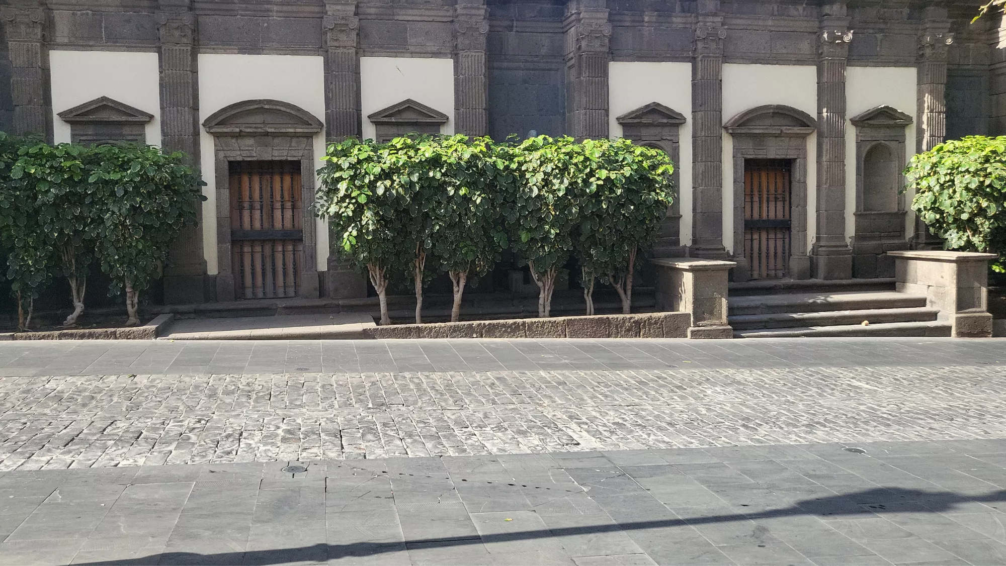 Los bustos de ilustres canarios están escondidos detrás de los árboles / ATÁNTICO HOY