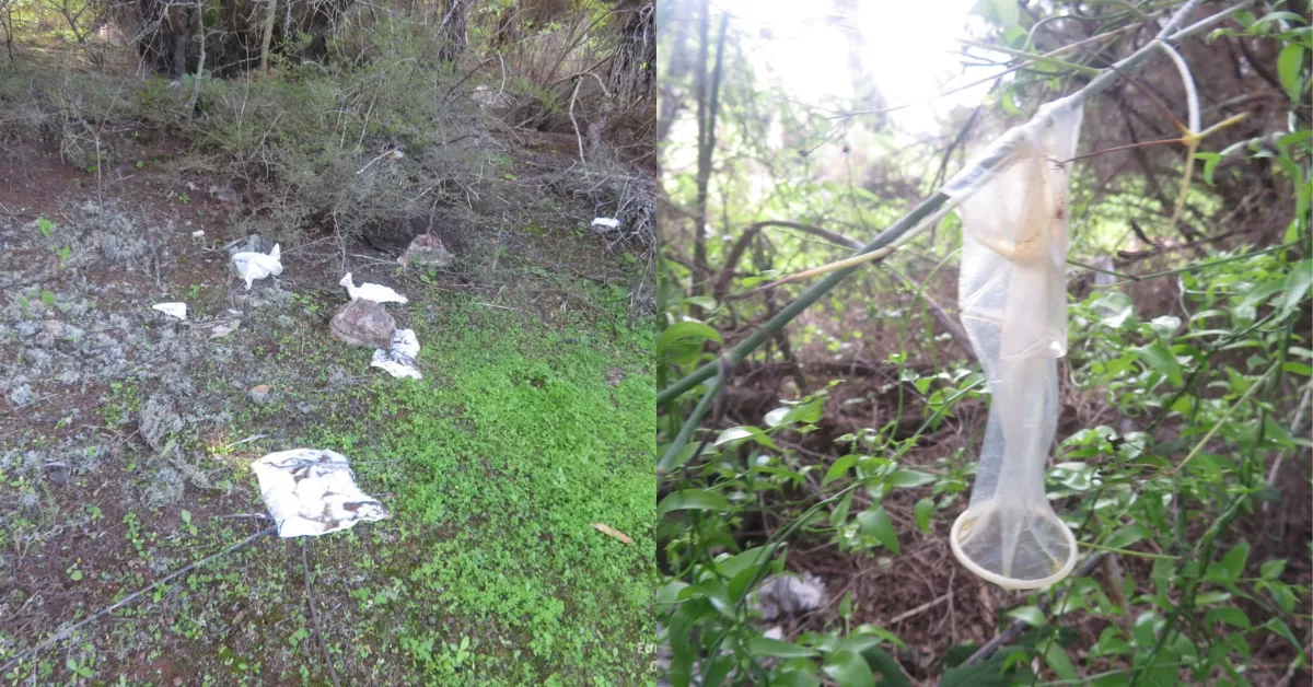 Suciedad en Mesa Mota, La Laguna. / CEDIDAS 