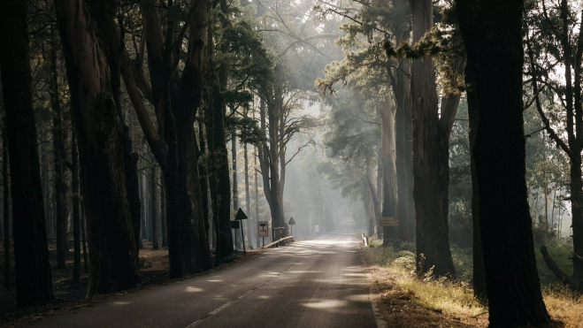 Carreteras de acceso al Teide tras el incendio / CEDIDA Carreteras de acceso al Teide tras el incendio / CEDIDA