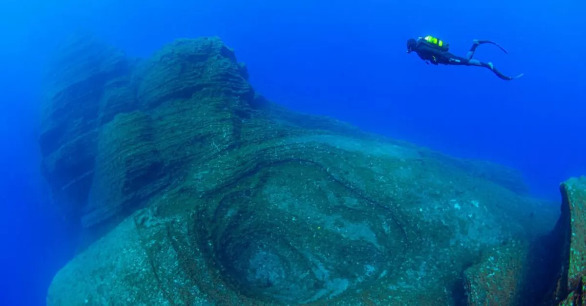 Buceo en el El Bajón, en el mar de Las Calmas, en El Hierro. / GOBIERNO DE CANARIAS