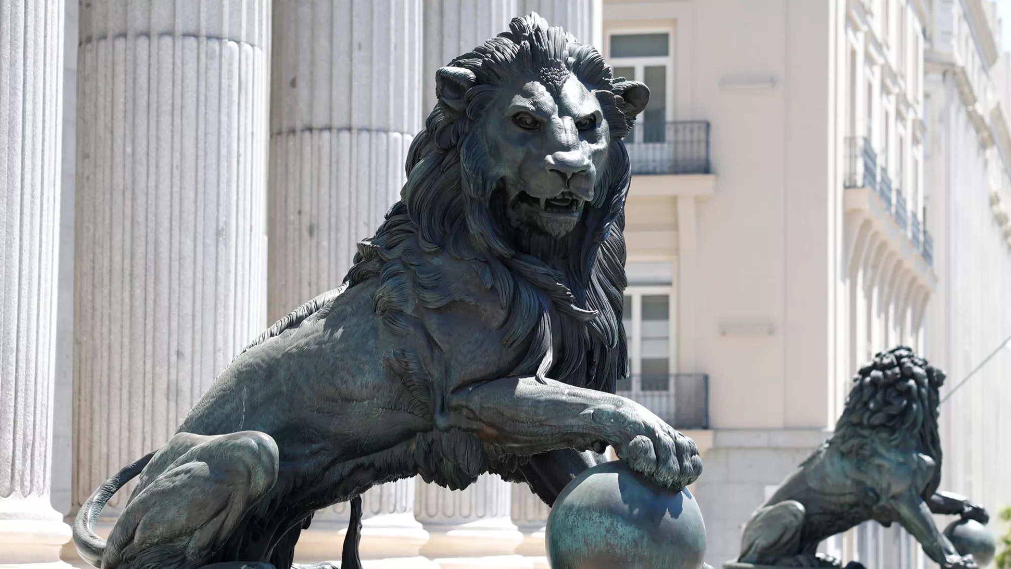 Uno de los leones del Congreso / EFE