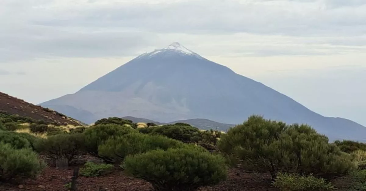 El pico del Teide nevado / AEMET IZAÑA