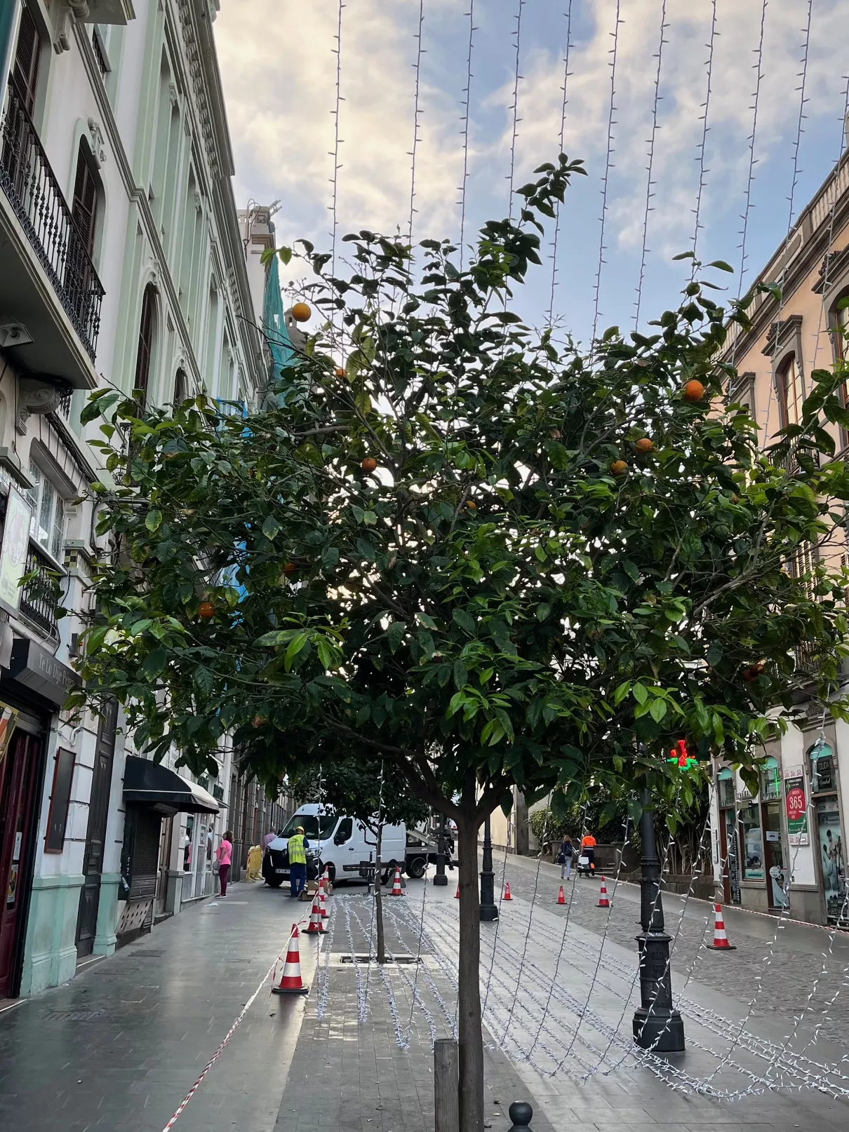 Calle Obispo Codina de Vegueta, el 23 de noviembre de 2023, mientras colocaban las luces de navidad