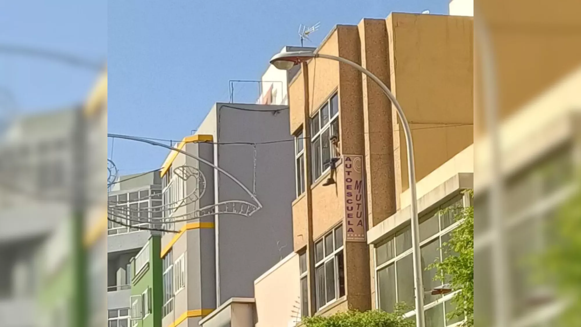 Imagen del hombre sentado en una ventana increpando a los vecinos de Las Palmas  REDES