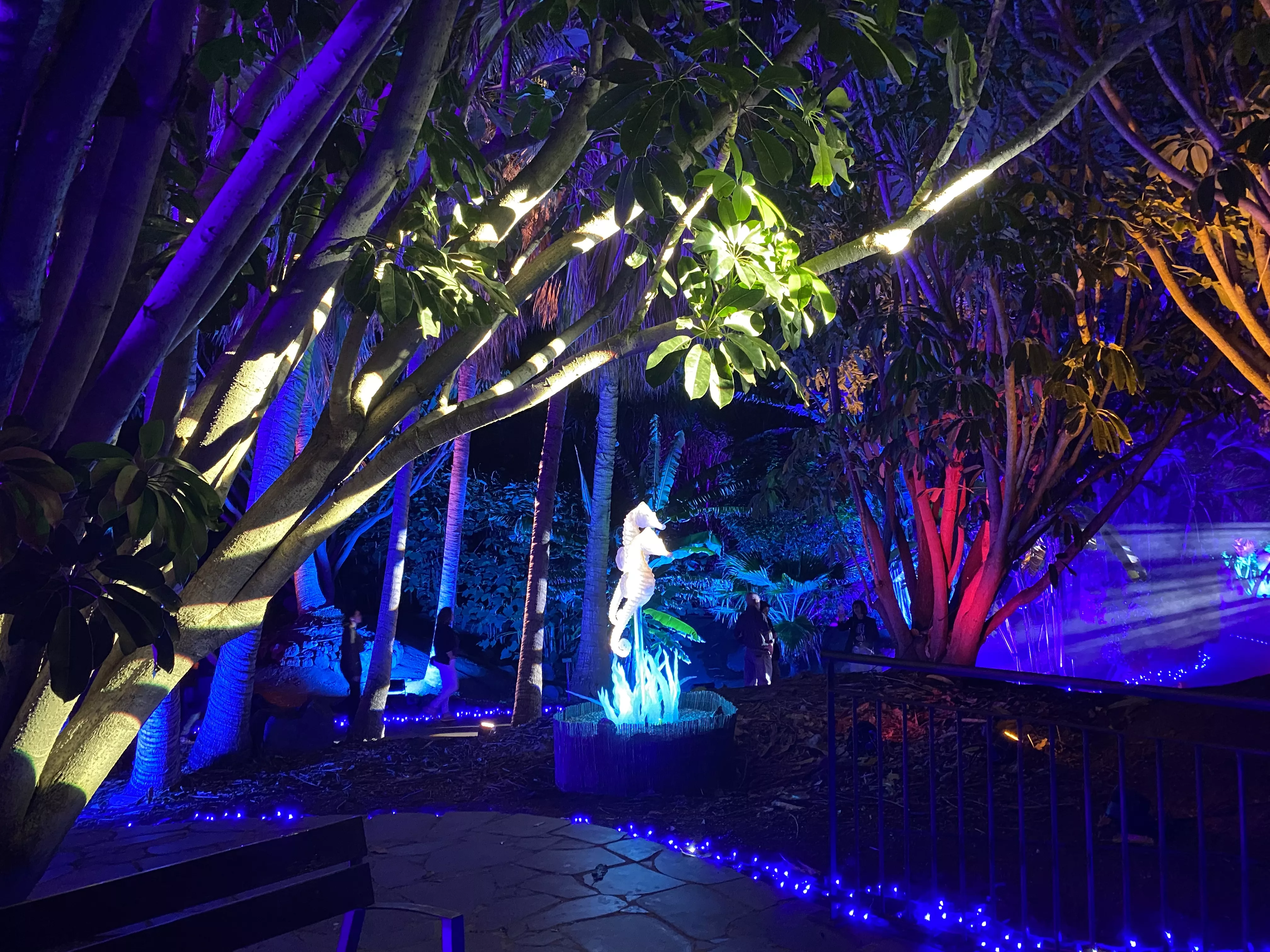 Naturaleza encendida este 2023 en el Palmetum. / ATLÁNTICO HOY 