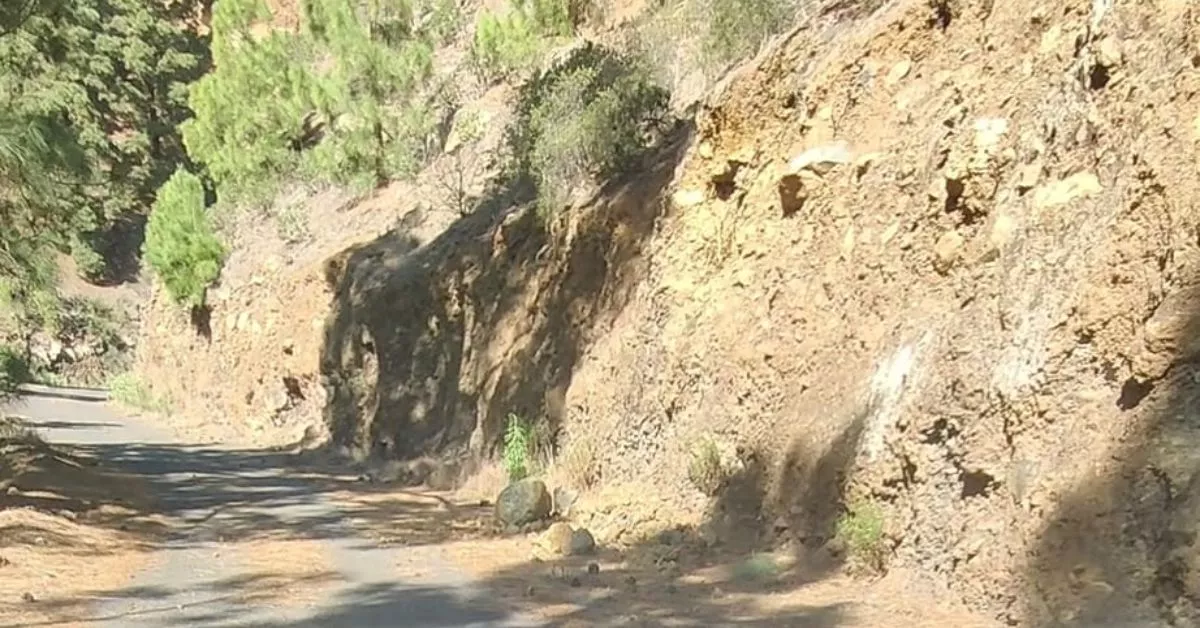 Carretera cerrada que va a dar al área recreativa Monte Los Frailes, en Arafo / PEDRO MESA