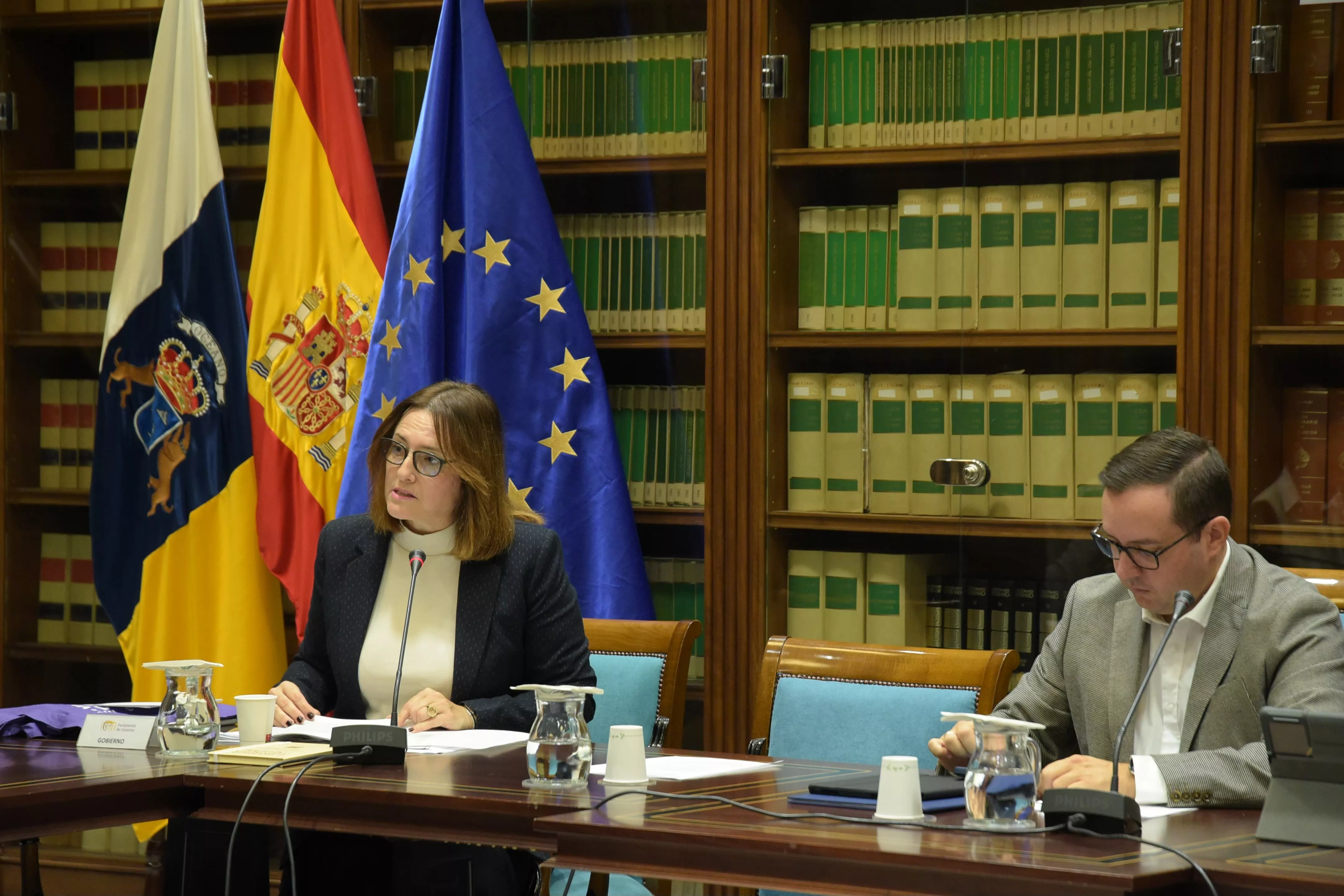 La consejera de Bienestar Social del Gobierno de Canarias, Candelaria Delgado, en comisión parlametaria./ CEDIDA