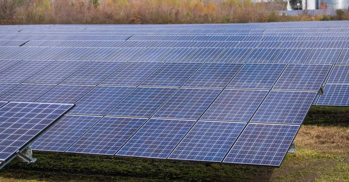 Energía Renovable ‘Made in Canarias’: Fotovoltaica y Eficiencia Energética 