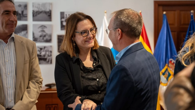 Reunión entre la consejería de Bienestar Social del Gobierno de Canarias y el Cabildo de Gran Canaria / GOBIERNO DE CANARIAS