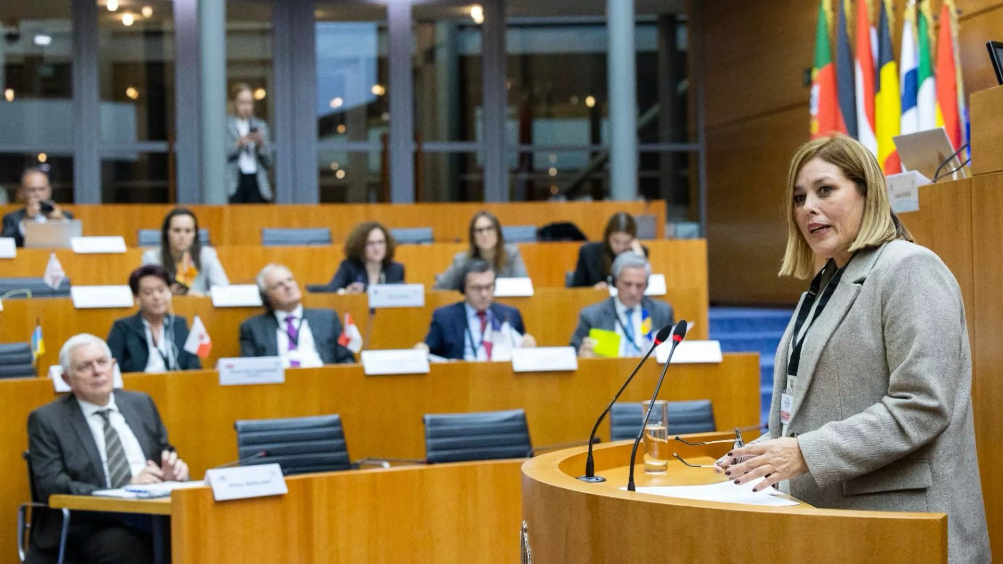 Astrid Pérez en el Comité Permanente de la Conferencia de Asambleas Legislativas Regionales Europeas./ CEDIDA