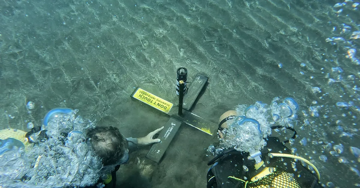 Hidrófonos del Loro Parque./ CEDIDA