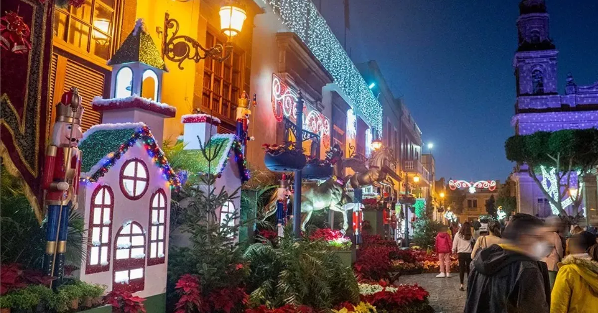 Imágenes del encendido navideño de Gáldar / EFFICO