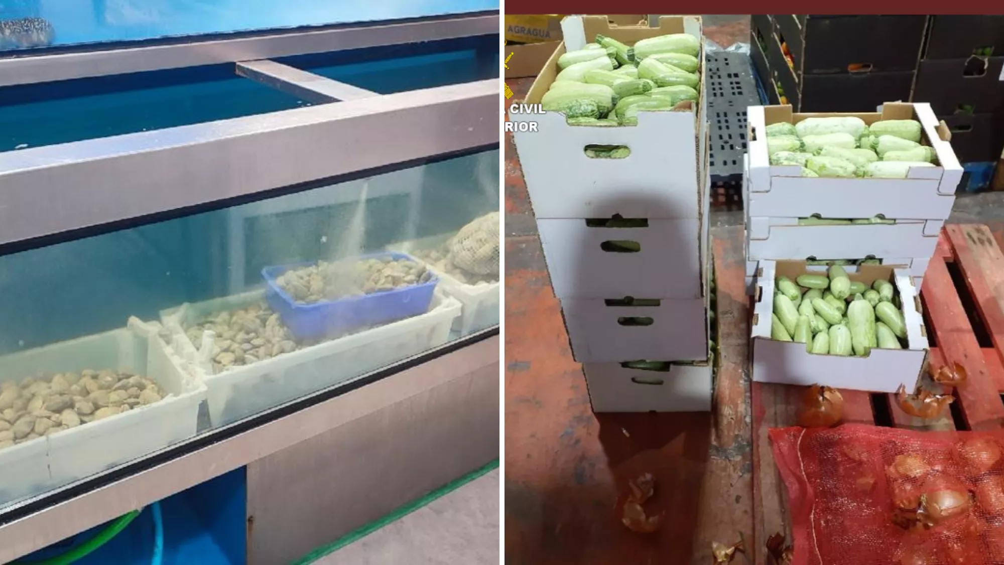 Alimentos inmovilizados / SEPRONA