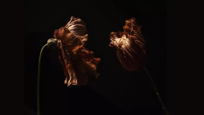 Fotografía de Will Corvara / WILL CORVARA