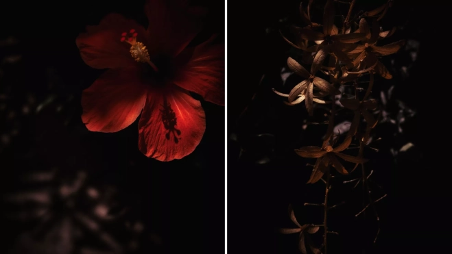 Fotografías de Will Corvara / WILL CORVARA