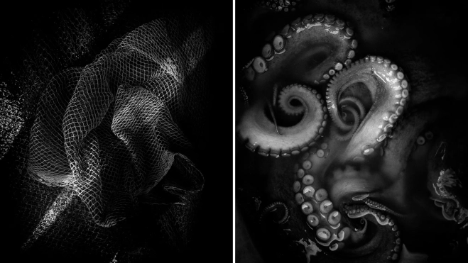 Fotografías de Will Corvara / WILL CORVARA 