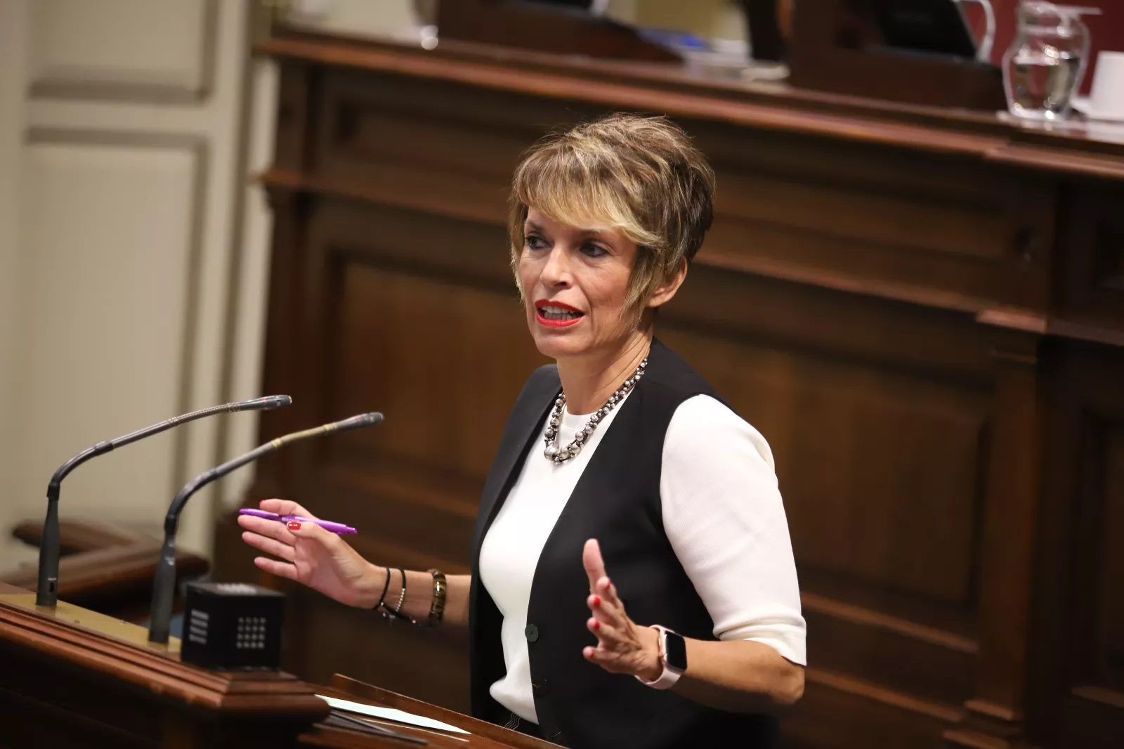 Elena Máñez, diputada del Grupo Parlamentario Socialista. / CEDIDA