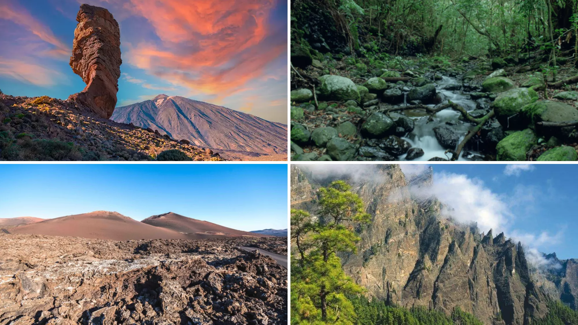 Parques nacionales de Canarias / MONTAJE AH